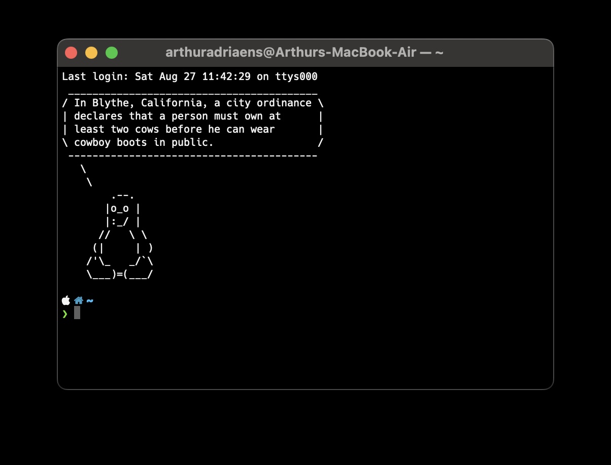 screenshot of macbook terminal